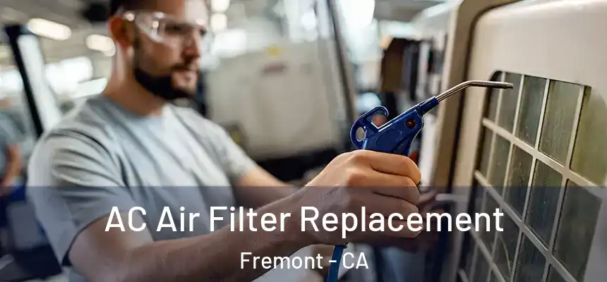AC Air Filter Replacement Fremont - CA