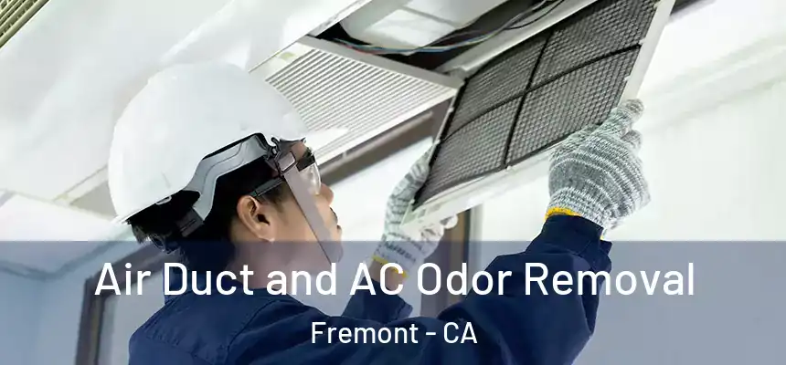 Air Duct and AC Odor Removal Fremont - CA