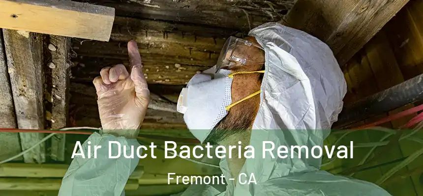 Air Duct Bacteria Removal Fremont - CA