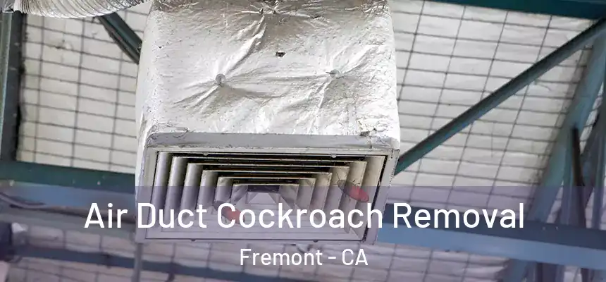 Air Duct Cockroach Removal Fremont - CA
