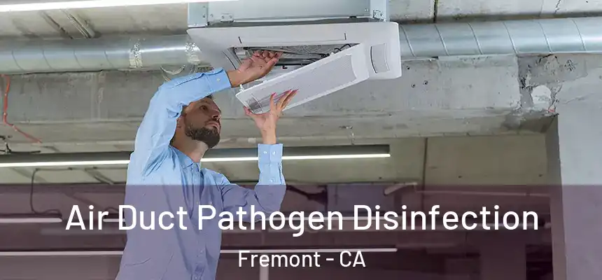 Air Duct Pathogen Disinfection Fremont - CA