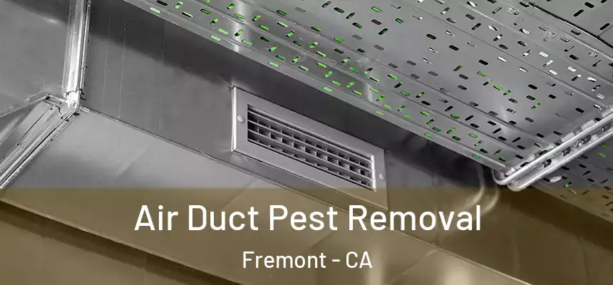 Air Duct Pest Removal Fremont - CA