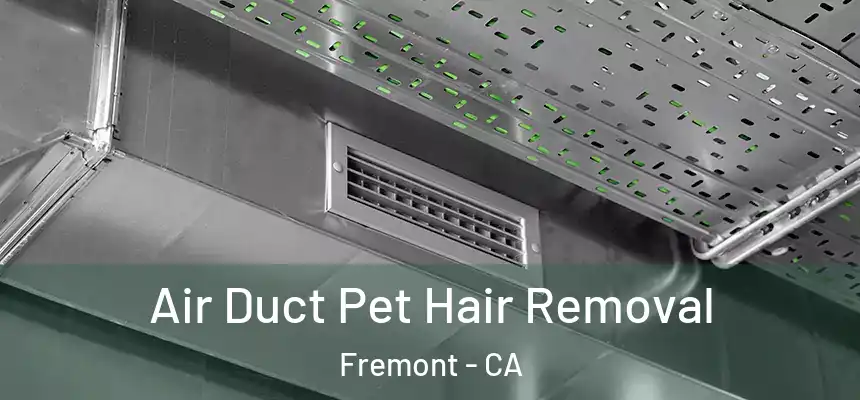 Air Duct Pet Hair Removal Fremont - CA