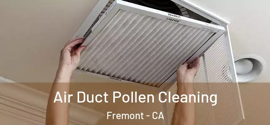 Air Duct Pollen Cleaning Fremont - CA