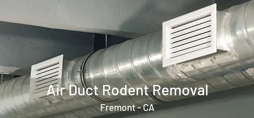 Air Duct Rodent Removal Fremont - CA