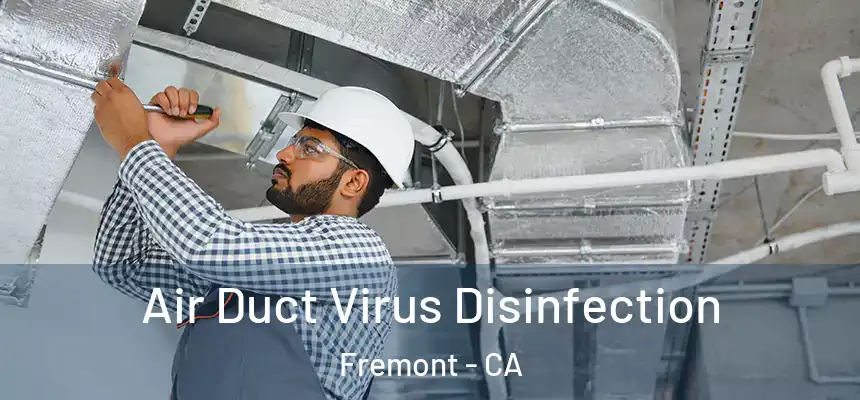 Air Duct Virus Disinfection Fremont - CA