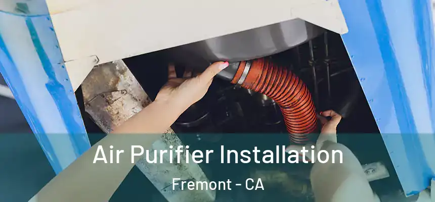 Air Purifier Installation Fremont - CA