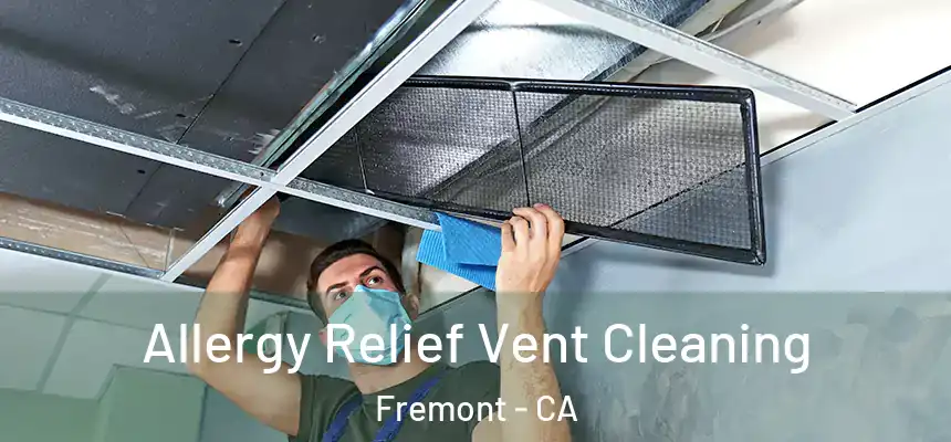 Allergy Relief Vent Cleaning Fremont - CA