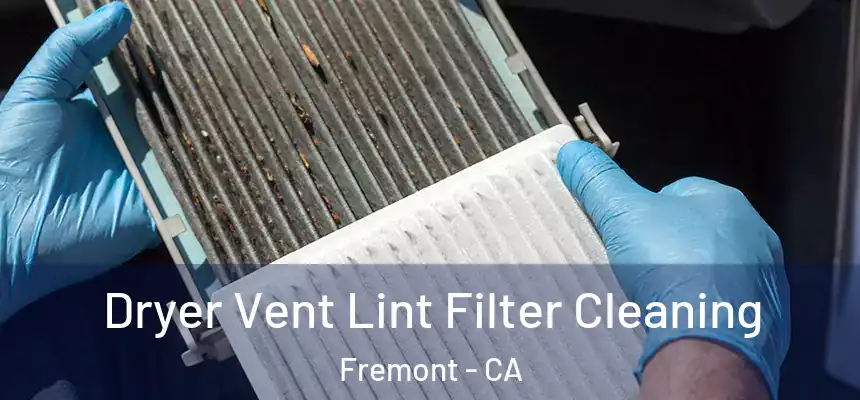 Dryer Vent Lint Filter Cleaning Fremont - CA