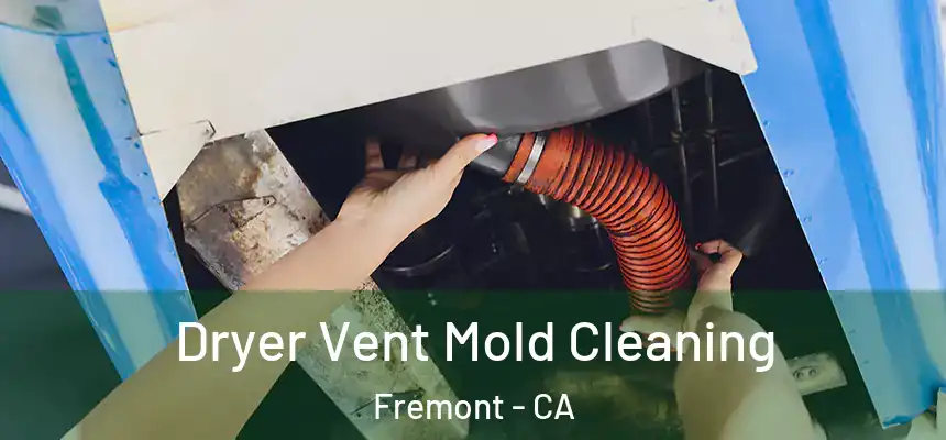 Dryer Vent Mold Cleaning Fremont - CA