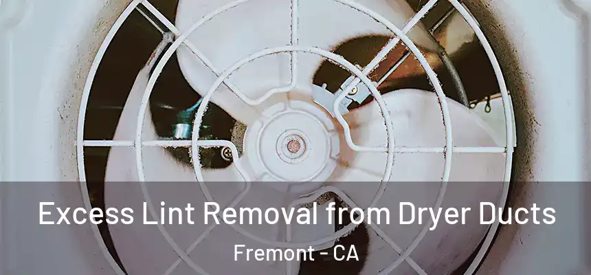 Excess Lint Removal from Dryer Ducts Fremont - CA