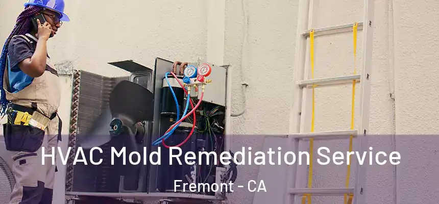 HVAC Mold Remediation Service Fremont - CA