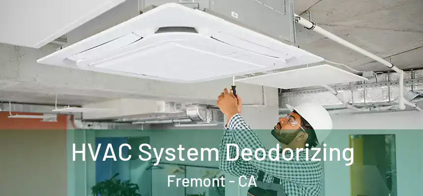 HVAC System Deodorizing Fremont - CA