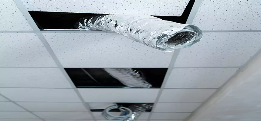 Affordable HVAC Sanitizing After Pest Removal in Fremont