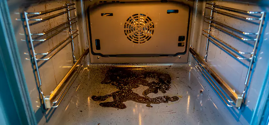 Our Dryer Vent Mold Cleaning Services in Fremont, CA