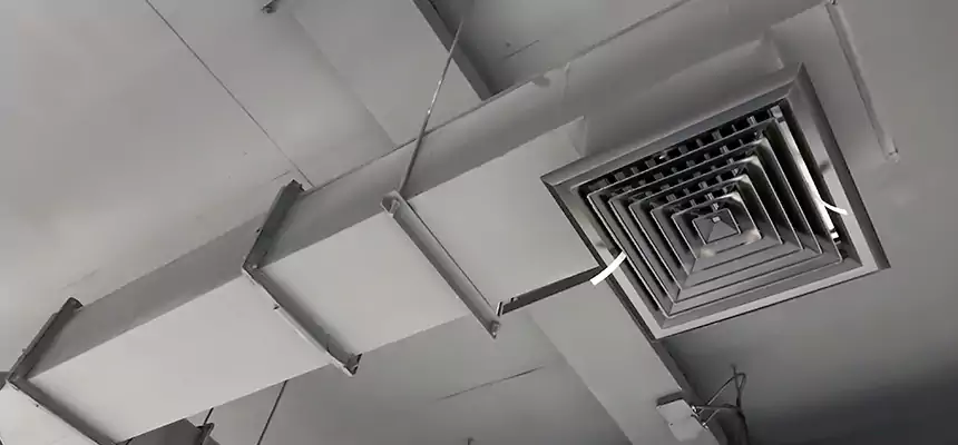 Our Rodent Droppings In Vents Services in Fremont, CA