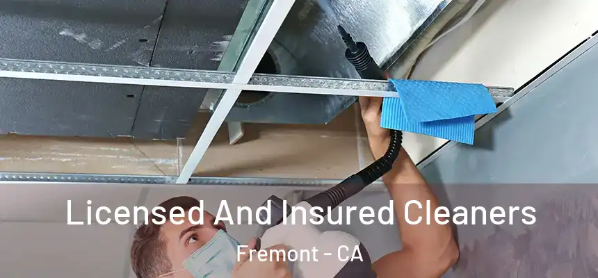 Licensed And Insured Cleaners Fremont - CA