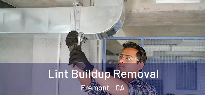Lint Buildup Removal Fremont - CA