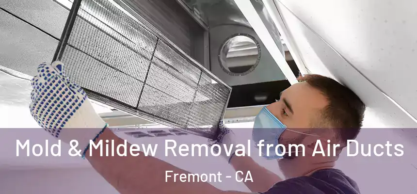 Mold & Mildew Removal from Air Ducts Fremont - CA
