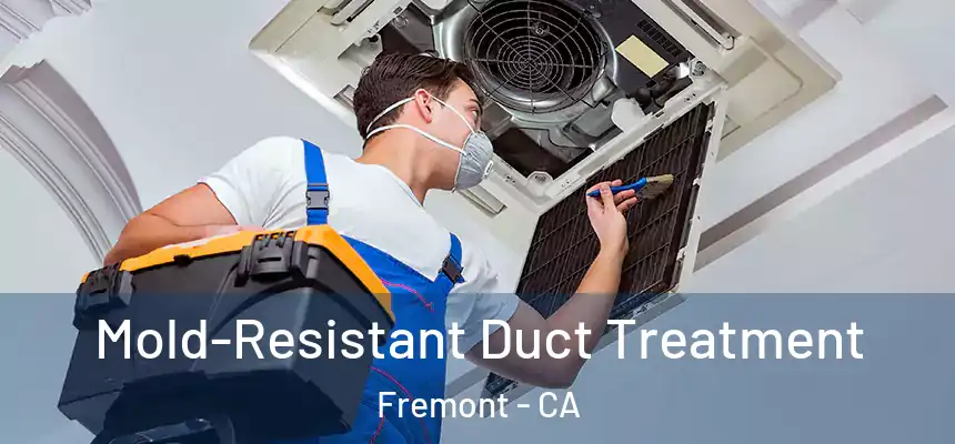 Mold-Resistant Duct Treatment Fremont - CA