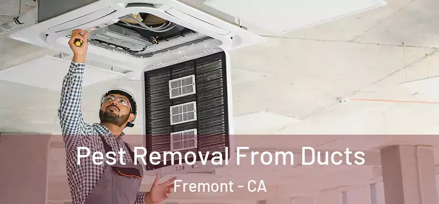 Pest Removal From Ducts Fremont - CA