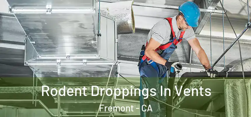 Rodent Droppings In Vents Fremont - CA