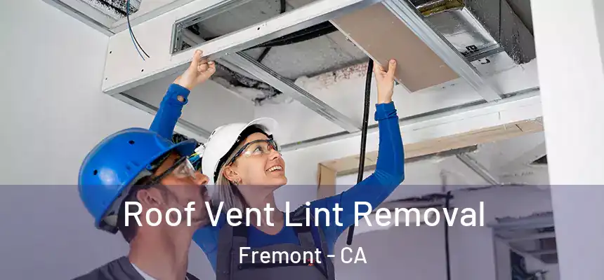 Roof Vent Lint Removal Fremont - CA