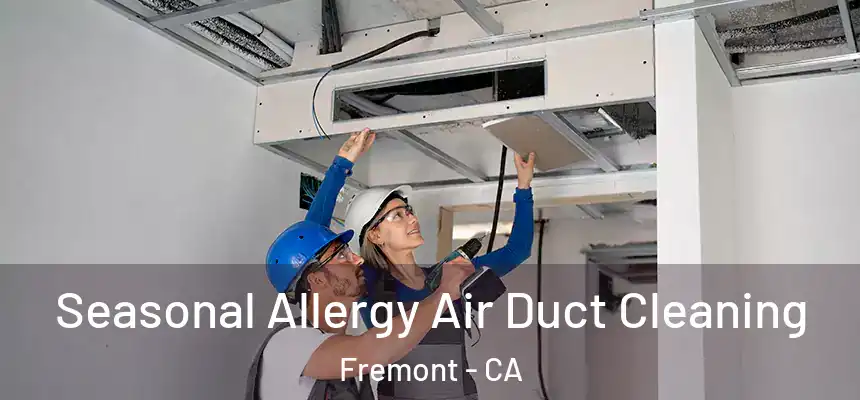 Seasonal Allergy Air Duct Cleaning Fremont - CA