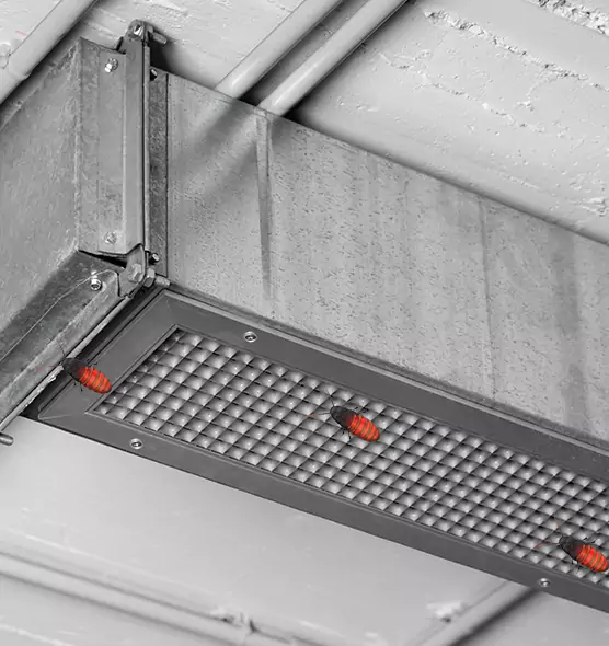 About Air Duct Cockroach Removal in Fremont, CA