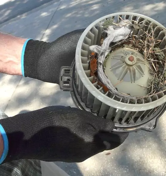 About Air Duct Rat Removal in Fremont, CA