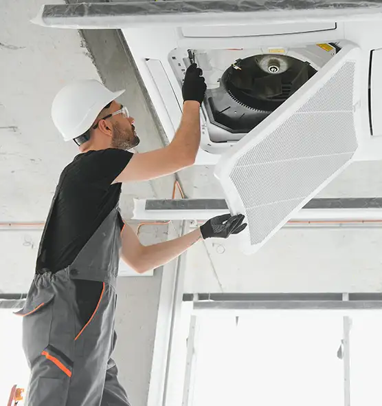 About Air Duct Rodent Removal in Fremont, CA