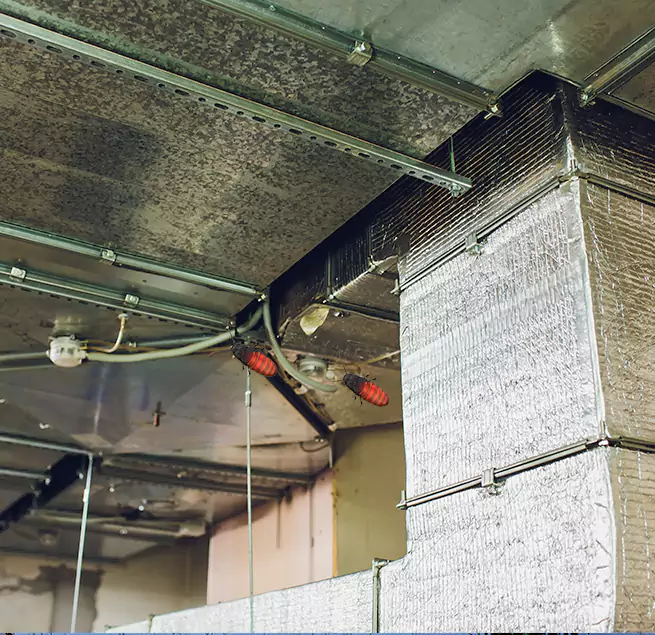 Why Homeowners & Businesses Trust Us in Fremont, CA?