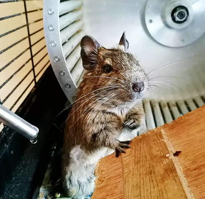 Why Homeowners & Businesses Trust Us Fremont, CA?