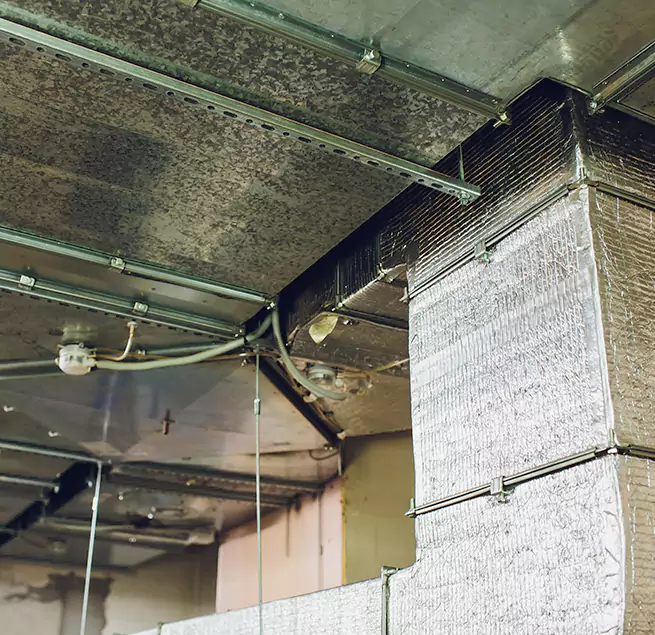 Why Homeowners & Businesses Trust Us in Fremont, CA?