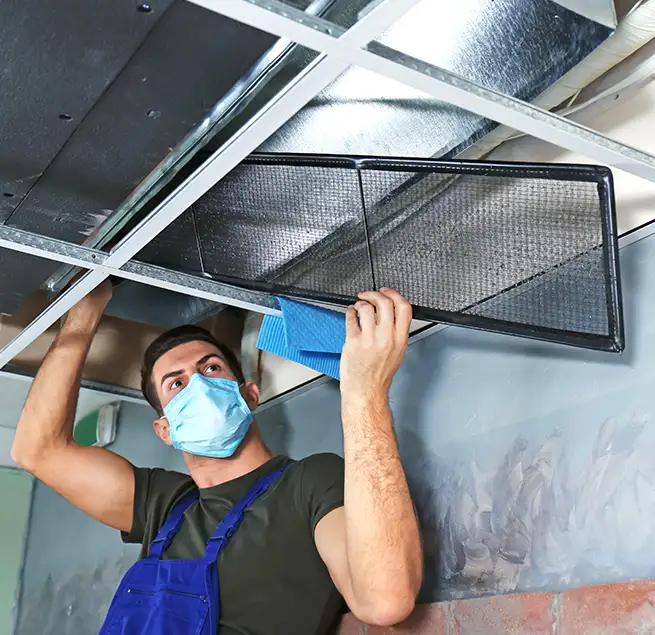 Why Homeowners & Businesses Trust Us in Fremont, CA?